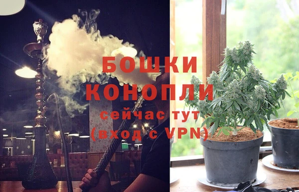 дурь Алексеевка